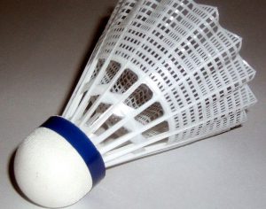 https://commons.wikimedia.org/wiki/File:Badminton4711.jpg